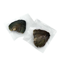 Vente en gros de coquilles d'huîtres de la marque Edwin, perles naturelles de 9 à 11 mm, forme d'étoile à cinq branches, perles d'eau douce, emballées sous vide