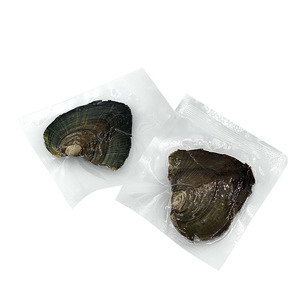 Conchiglie di Ostriche del Marchio Edwin all'Ingrosso, Perle Naturali a Forma di Stella a Cinque Punte 9-11mm, Ostriche d'Acqua Dolce Confezionate Sottovuoto - Product Image 1