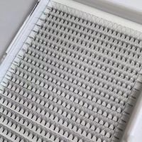 Plateau XXL 0.05 0.07 0.10mm 20 Lignes Volume Russe 2D 3D 6D 8D 10D Éventails de Cils Préfabriqués Noir Mat PBT Vente en Gros