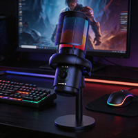 Microphone sans fil professionnel, micro sans fil professionnel, équipement pour créateurs de contenu, USB RGB, bureau, gaming
