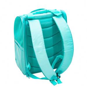 High Quality Foldable Dog Pet Bag <b>Backpack</b> Large Capacity Zipper Closure Pet Travel Portable Breathable Pet Bag - Product Image 4