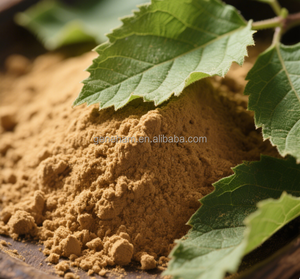 2025 meilleur vendeur UE <span class=keywords><strong>roman</strong></span> alimentaire conforme 1-DNJ 10% <span class=keywords><strong>extrait</strong></span> <span class=keywords><strong>de</strong></span> feuille <span class=keywords><strong>de</strong></span> mûrier <span class=keywords><strong>de</strong></span> qualité alimentaire poudre bouteille tambour peut meilleur vendeur 2025 - Product Image 5