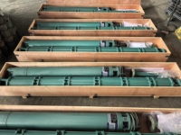 Pompe submersible pour puits profond en fonte 200QJ 8'' triphasée 380V, grand débit, haute pression, multistade, pour l'irrigation agricole