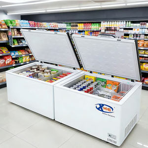 Congelador Horizontal Xiangming, Equipo de Refrigeración, Congelador Horizontal Comercial con Apertura Superior, Refrigerador Horizontal Profundo - Product Image 1