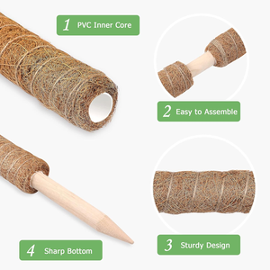 <span class=keywords><strong>Support</strong></span> de plante Moss Pole Monstera <span class=keywords><strong>pour</strong></span> <span class=keywords><strong>plantes</strong></span> <span class=keywords><strong>d</strong></span>'<span class=keywords><strong>intérieur</strong></span> <span class=keywords><strong>grimpantes</strong></span> Piquets <span class=keywords><strong>pour</strong></span> grimpeurs en pot Bâtons hauts Treillis <span class=keywords><strong>d</strong></span>'<span class=keywords><strong>intérieur</strong></span> <span class=keywords><strong>pour</strong></span> plante <span class=keywords><strong>d</strong></span>'<span class=keywords><strong>intérieur</strong></span> - Product Image 5