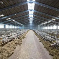 Edificio de Granja de Estructura de Acero Grande para la Cría de Cabras, Vacas y Cerdos con Garantía de 5 Años