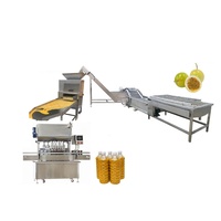 Passievruchtverwerkingsmachine Passievruchtensap Extractor