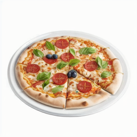 Assiettes à pizza jetables rondes de 9 pouces, 100 % compostables, écologiques, sans BPA, en pulpe de bagasse de canne à sucre, pour le stockage des aliments
