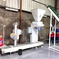 Machine d'emballage horizontale à grande vitesse pour pâtes spaghetti, équipement d'emballage automatique en sachet pour aliments et boissons avec contrôle PLC