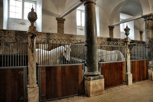 Granero de heno granero de metal caballo granero <span class=keywords><strong>destino</strong></span> - Product Image 3