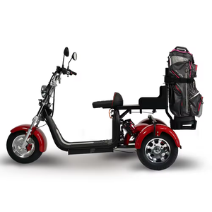 Scooter Eléctrico Citycoco 2026, Unisex, de Tres Ruedas, Deportivo/de Golf, con Batería de 12/20ah, Tipo Digital Inteligente, Triciclo de Golf - Product Image 1