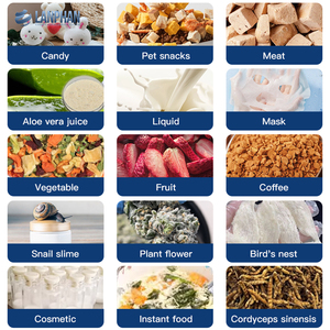 Lyophilisateur commercial d'aliments pour fruits lyophilisateur équipement de séchage Prix du lyophilisateur sous vide à condensation par sublimation - Product Image 6