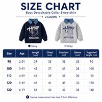 Sudadera de Oso con Cuello Desmontable para Niños, Moda Infantil, Mezcla de Algodón, Manga Larga, Estilo Casual Otoñal, Venta al Por Mayor