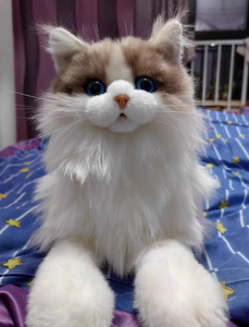 Peluche chat de simulation mignonne et tendance, modèle Maine Coon, jouet en peluche, cadeau d'anniversaire pour enfants, rembourrage en coton PP - Product Image 3