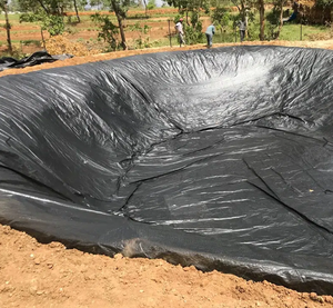 Géomembrane HDPE fine de 0,1 mm à 0,25 mm conforme à la norme ASTM, haute résistance à la traction, stabilisation UV, revêtement imperméable pour ferme de crevettes - Product Image 1