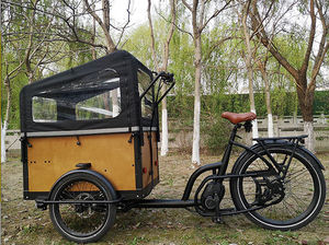 Tricycle à 7 vitesses et Tricycle électrique, livraison, vélo Cargo électrique, 3 roues, vélo Cargo électrique pour bébé - Product Image 2