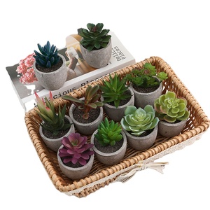 Duofu Home Mesa decoración <span class=keywords><strong>flores</strong></span> plantas suculentas artificiales al por mayor Mini adornos - Product Image 1