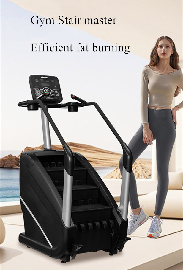 カーディオ運動ステップミルステアマスタークラインビンマシンジム