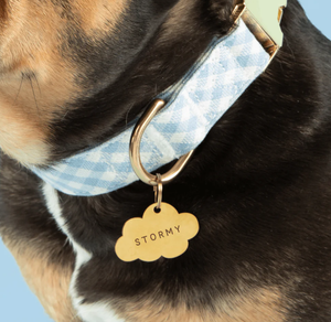 Jietao giá cả phải chăng thép không gỉ trái tim ngôi sao đám mây khắc tên Pup thông tin liên lạc thẻ ID vật nuôi chó mèo chim cổ áo Mặt dây chuyền - Product Image 3