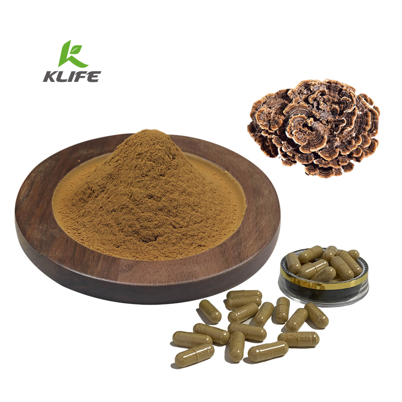 Оптовая продажа, натуральный порошок из экстракта огарского кориола, вершиколора, индейки, хвоста, грибов