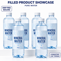 Projet clé en main : Machine de rinçage, remplissage et bouchage automatique d'eau potable pure en bouteilles PET et en verre