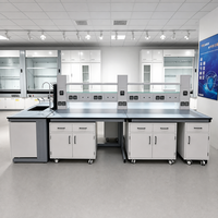 Banc de travail de laboratoire à structure en acier pour salle blanche, mobilier de laboratoire, table stable à structure en acier avec étagère de rangement pour institut de recherche
