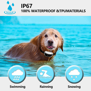 Elektronisches Hunde zauns ystem mit Beeper Collar Elektrozaun Energizer - Product Image 6
