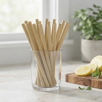Pailles en bambou biodégradables écologiques jetables modernes, pailles organiques pour boisson, vente en gros, logo personnalisé, utilisation pour les fêtes