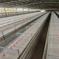 Meilleur prix cage de couveuse en acier de type H nouvel équipement automatique de volaille pour les éleveurs de poulets poulettes cailles maille couche batterie fermes