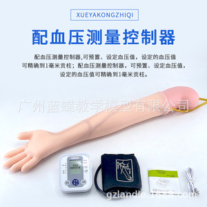 Modèle d'entraînement à la mesure de la tension artérielle au bras, modèle pédagogique pour les infirmières, modèle de mesure de la tension artérielle - Product Image 3