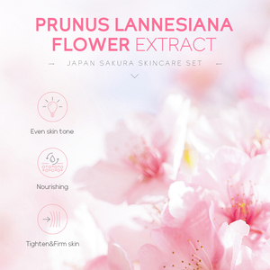 ชุดผลิตภัณฑ์บำรุงผิวหน้า LAIKOU Sakura Private Label ต่อต้านริ้วรอย ช่วยให้ผิวกระจ่างใสและชุ่มชื้น ด้วยเซรั่มและครีมบำรุงผิวหน้าที่มีส่วนผสมของไนอะซินาไมด์ - Product Image 6