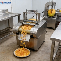 Commerciële groentesnijder, groenteschiller en -snijmachine voor fruitverwerkingsbedrijven