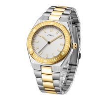 Montre-bracelet classique minimaliste à boîtier en alliage, mouvement à quartz, aiguilles lumineuses et bracelet en acier, étanche pour usage quotidien