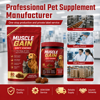 OEM ODM Suplemen Nutrisi Harian Multivitamin Kunyah Lembut untuk Peningkatan Otot Anjing, Kesehatan Pencernaan & Sendi - Produsen