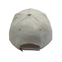 Gorras de Béisbol Personalizadas de 5 Paneles, Venta Caliente de Fábrica, Gorras de Béisbol 100% Algodón, Gorras Personalizadas con Etiqueta Tejida, Gorra de 5 Paneles