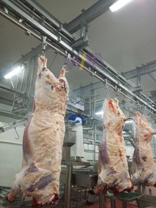 Abattoir de bovins d'abattoir <span class=keywords><strong>moderne</strong></span> Équipement complet pour ligne de traitement de <span class=keywords><strong>boucherie</strong></span> de vache - Product Image 3