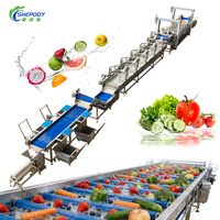 Industriële fruitwasmachine Automatische roestvrijstalen fruitwasser 800kg/u Tomatenwas- en sorteerlijn