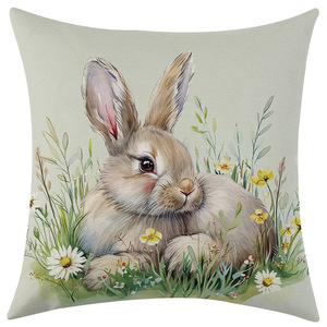 Housse de coussin carrée Hanlin Lapin de Pâques 45x45cm Lavable Décoration de salon - Product Image 5