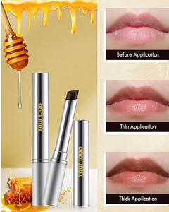 Etiqueta privada Nuevo bálsamo labial de miel negra de larga duración Hidratante Lip Plumper Lápiz labial de color nutritivo - Product Image 4