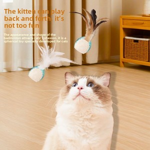Juguete de red de lufa natural para gatos, pelota con plumas resistente a mordeduras, para limpiar los dientes y estimular a los gatos. - Product Image 4