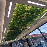 Plafond tendu en PVC, matériau ignifuge, film de décoration intérieure tendance, boîte à lumière en tissu rétroéclairé par LED