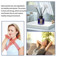 Offre spéciale Diffuseur de roseaux personnalisé 2024 Parfum d'intérieur Parfumé Aromathérapie Aroma Diffuseur de roseaux avec bâton de fleur