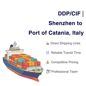 Agente de Carga Marítima Profesional de China al Puerto de Catania, Italia, Envío LCL con Términos DDP/CIF para Mercancías Peligrosas y Generales - Product Image 1