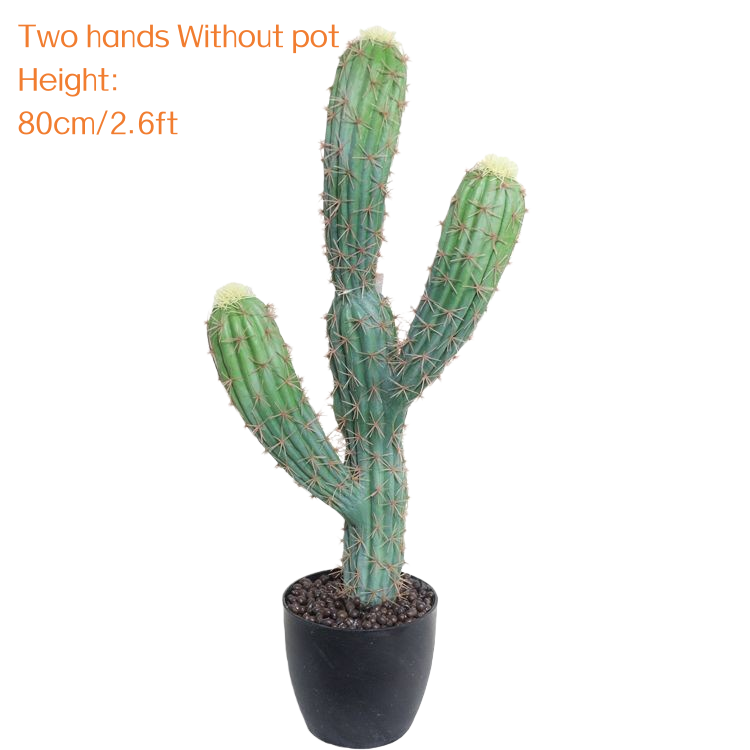 Deux mains 80 cm/2,6 pieds