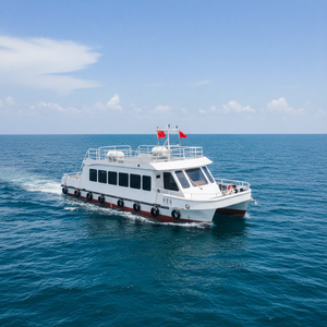 Bateau de tourisme en acier certifié CE, type catamaran, avec capacité de passagers personnalisable et services de conception gratuits - Product Image 2