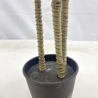 Plante artificielle Dracaena de 120 cm, multi-tiges, feuilles imitation feuille de palmier, pour hôtel, hall, café, bureau, réception, décoration intérieure