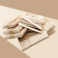 Bâtonnets de glace biodégradables écologiques, vente en gros, personnalisables pour tous les scénarios