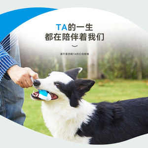 Eetoyys Y Shaped Branch Bone Pu Nylon Material Dental Cleaning Dog Chew Toy - Product Image 3