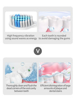 Brosse à dents électrique ultrasonique sans fil souple Brosse à dents électrique Tête de brosse remplaçable Nettoyage des dents