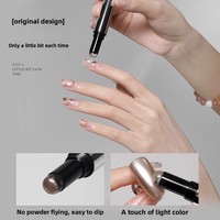 Poudre de miroir magique de manucure de Salon professionnel avec l'effet 3D poudre d'ongles de stylo d'oeil de chat d'utilisation facile-commandes en gros disponibles